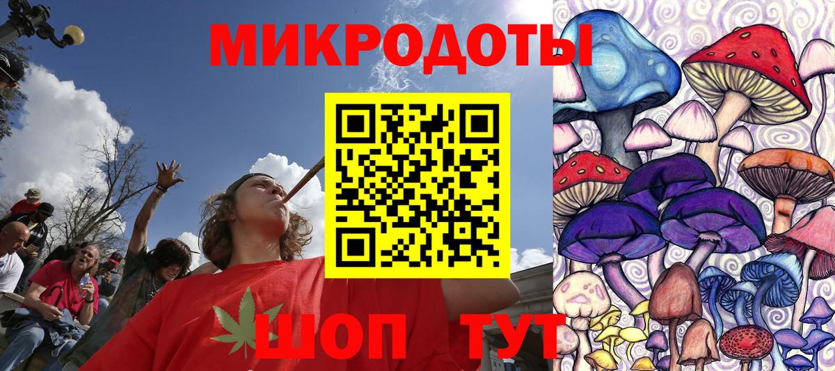 Галлюциногенные грибы Psilocybe  где купить наркотик  Вязники  Вход с VPN 